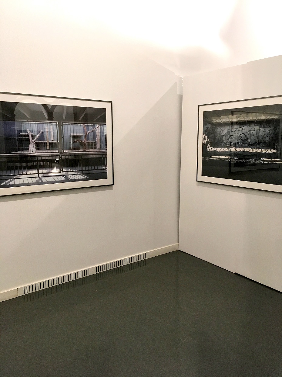 2017 Abschlussausstellung Fotografie Lette Verein Berlin "staatlich geprüft"